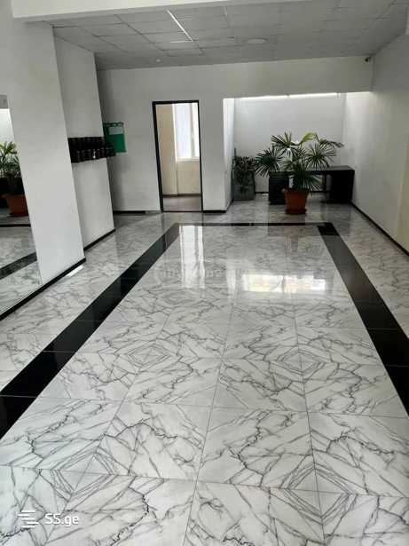 https://static.ss.ge/20251008/18_abc4cf2d-acdd-4081-9ddd-a67c1d5fb475_Thumb.jpg