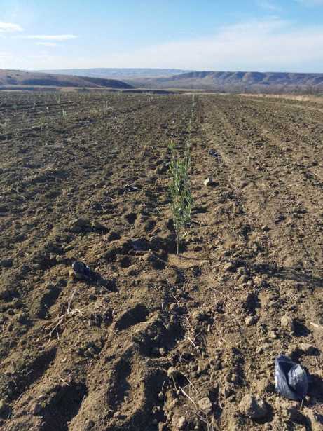 Land For Sale. Arashenda