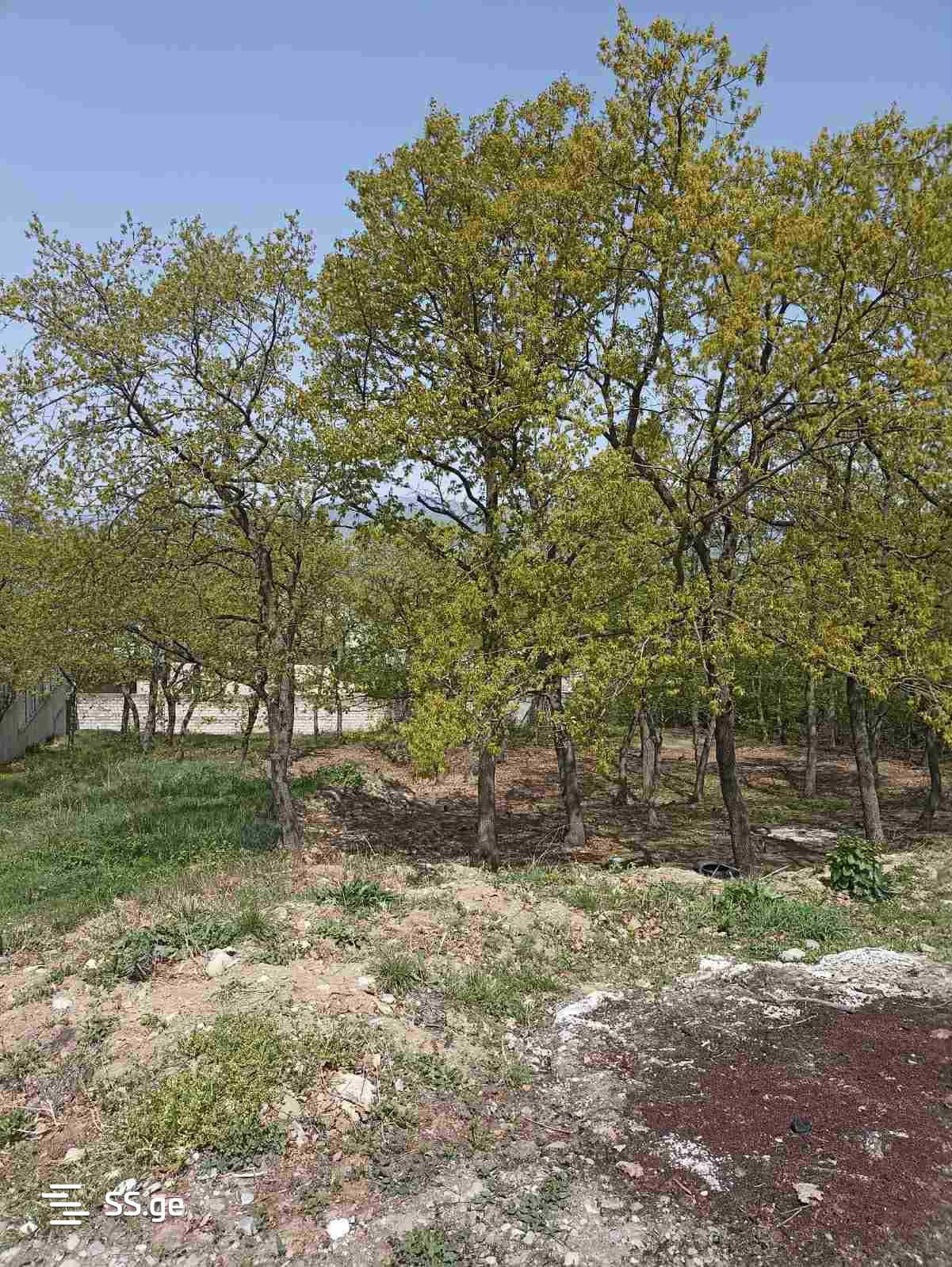 Land For Sale. Saguramo, 3 of 4