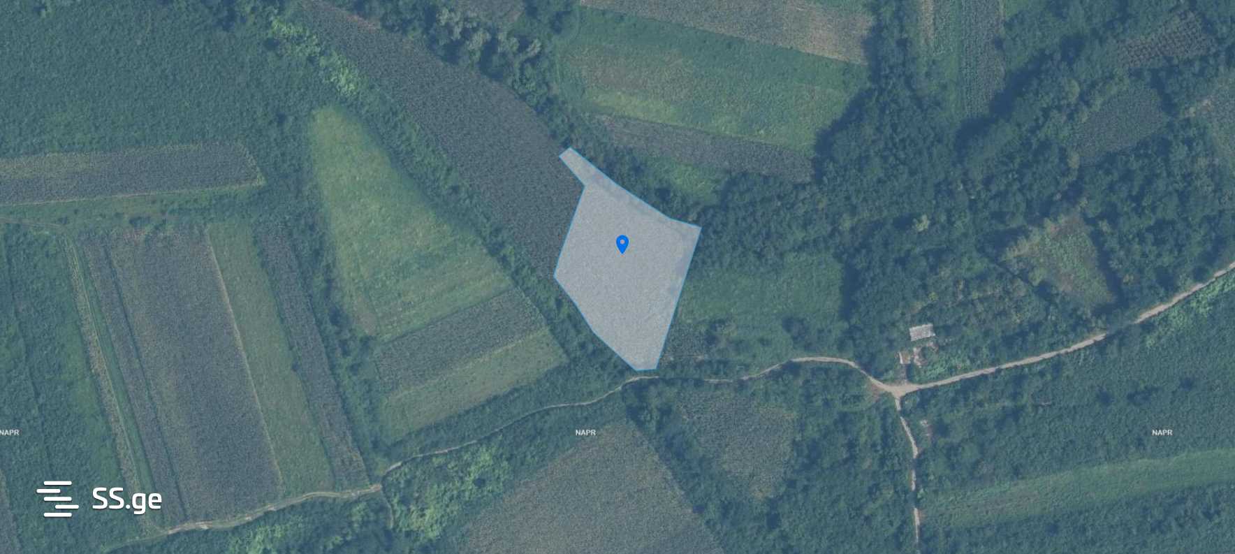 For Sale Sasoplo-Sameurneo Land Plot Samtrediashi view 9