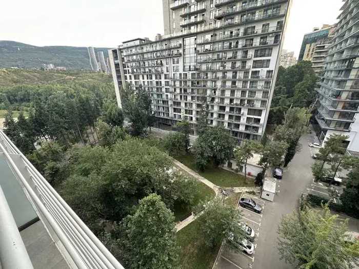https://static.ss.ge/20251011/7_2d84b942-6924-45eb-a7d3-8e0ee14db16e_Thumb.jpg