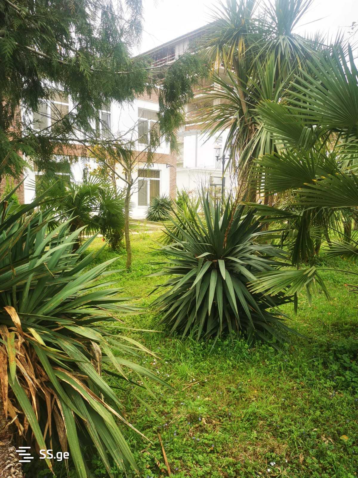 7 Room Summer Cottage For Sale view 6