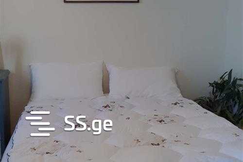 6 Room Private House For Rent. Natakhtari view 9