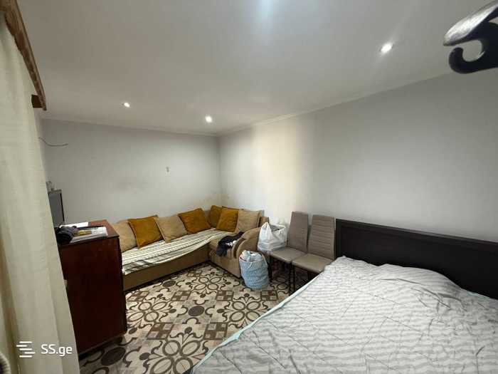 https://static.ss.ge/20251013/17_cc3307c8-fe2c-4f55-91ab-5149a5cf0c67_Thumb.jpg