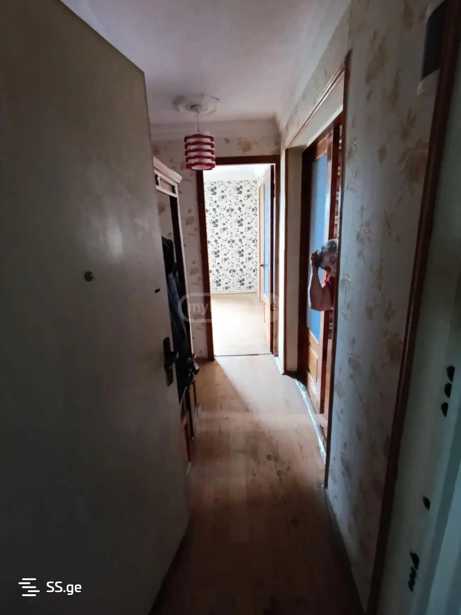 https://static.ss.ge/20251013/2_3e6e8ae4-d5cd-4b70-96b2-c715ec844f86_Thumb.jpg