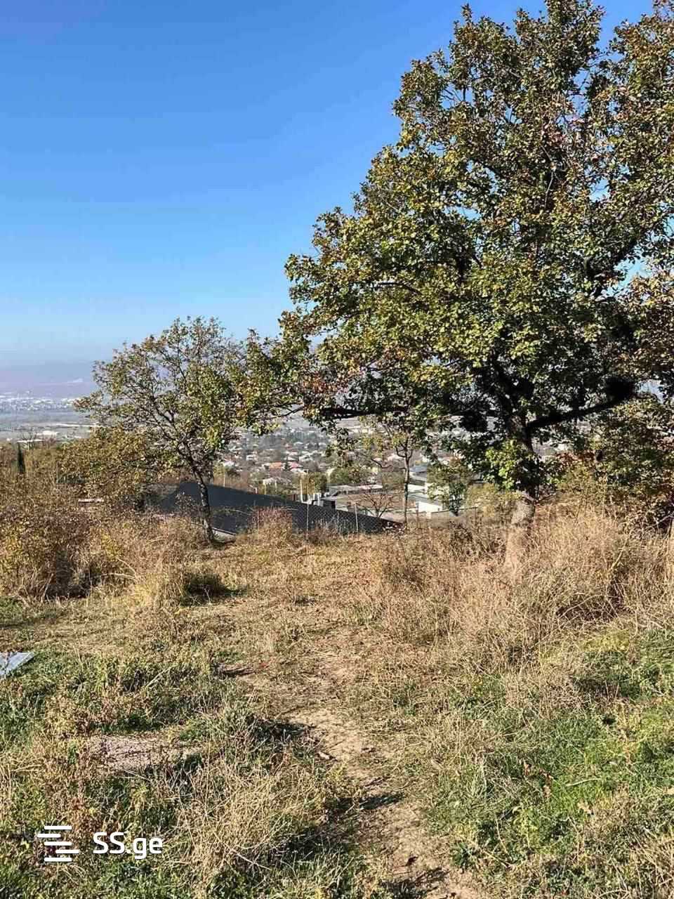იყიდება მიწის ნაკვეთი საგურამოში