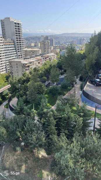 https://static.ss.ge/20251014/11_c36c96f5-7563-4785-9e5b-4f6816f16bef_Thumb.jpg