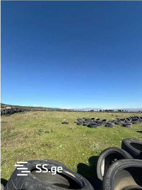 https://static.ss.ge/20251014/13_8a5a7fb6-bcbc-4a87-af39-902fa5403a39_Thumb.jpg
