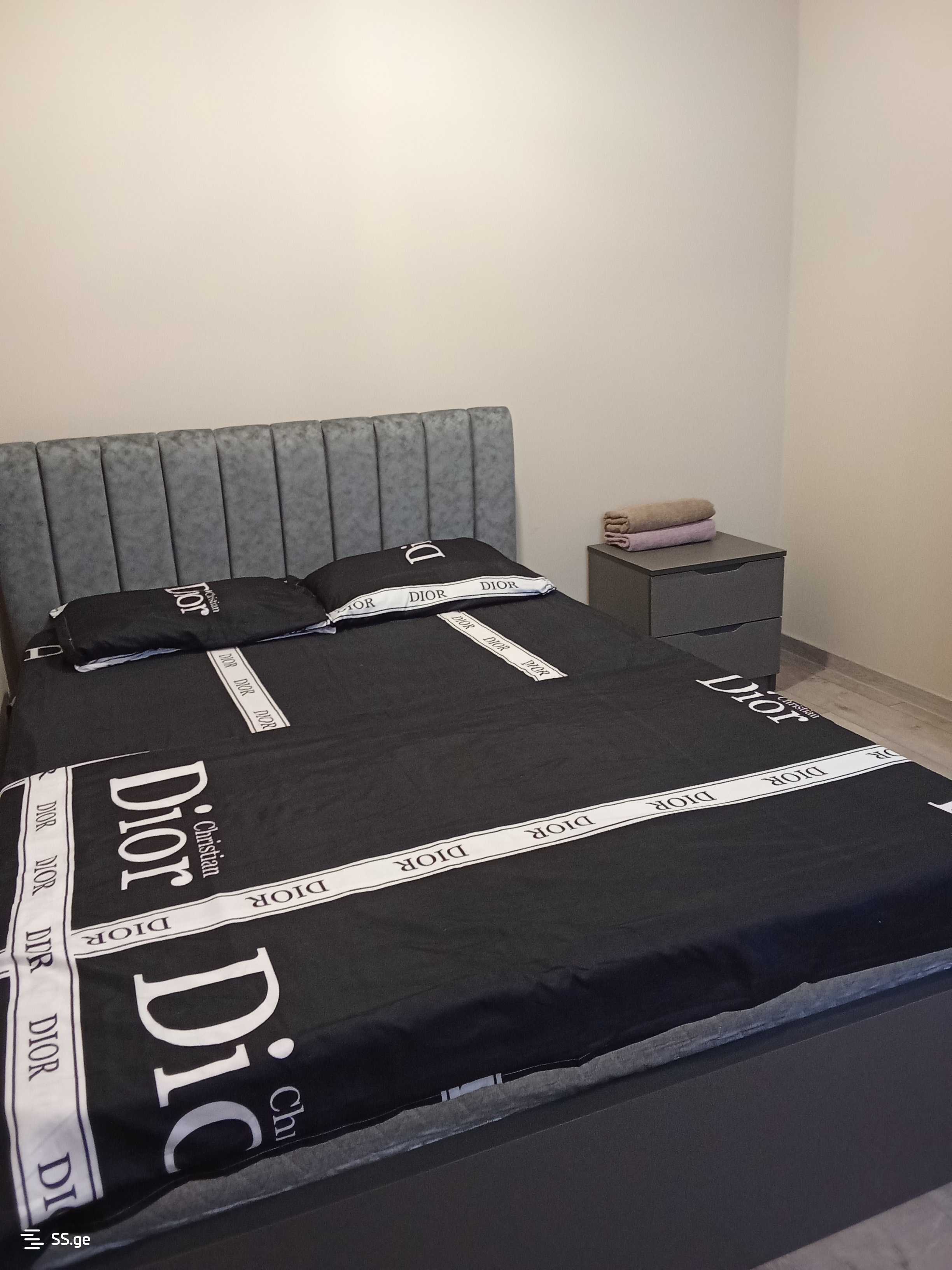 2 Room Flat Daily Rent. Rustavi view 2