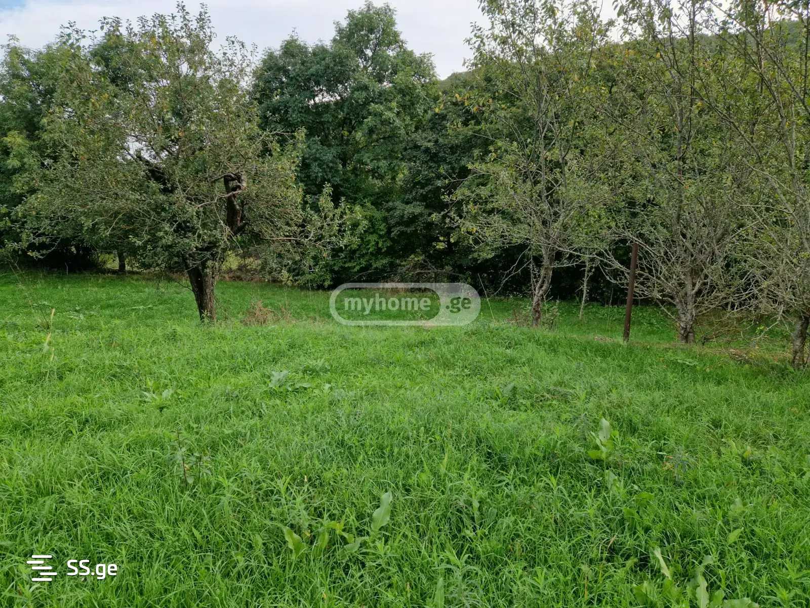 იყიდება მიწა კიკეთიში view 2
