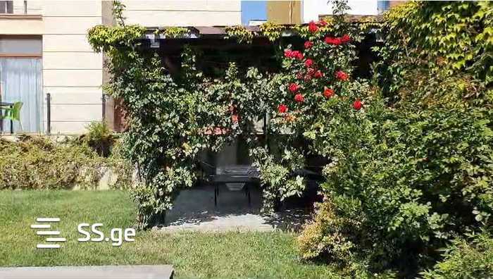 https://static.ss.ge/20251014/5_12da51c8-0ff4-49dc-96b5-7cf555bf52f4_Thumb.jpg