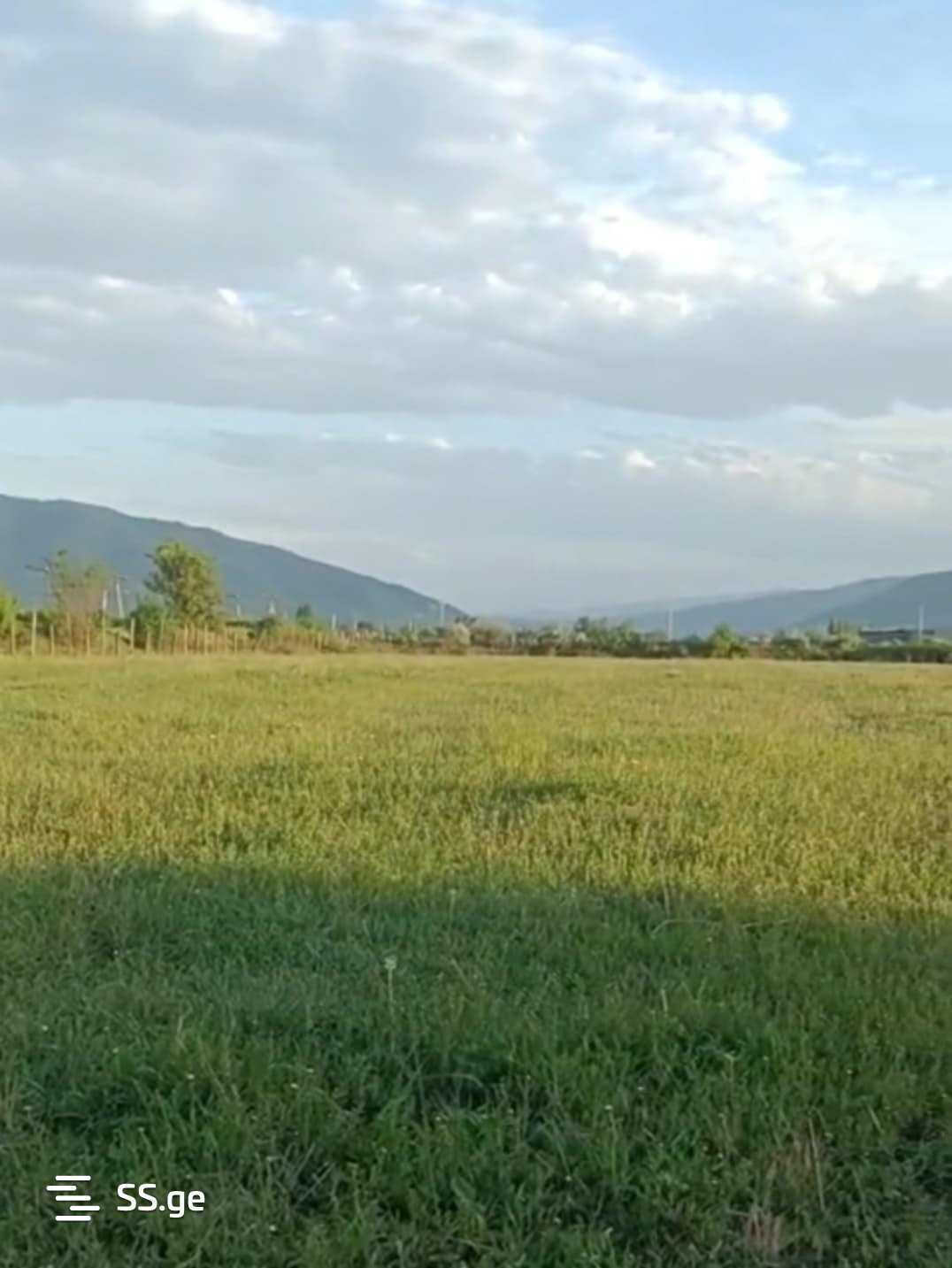 Land For Sale. Natakhtari view 3