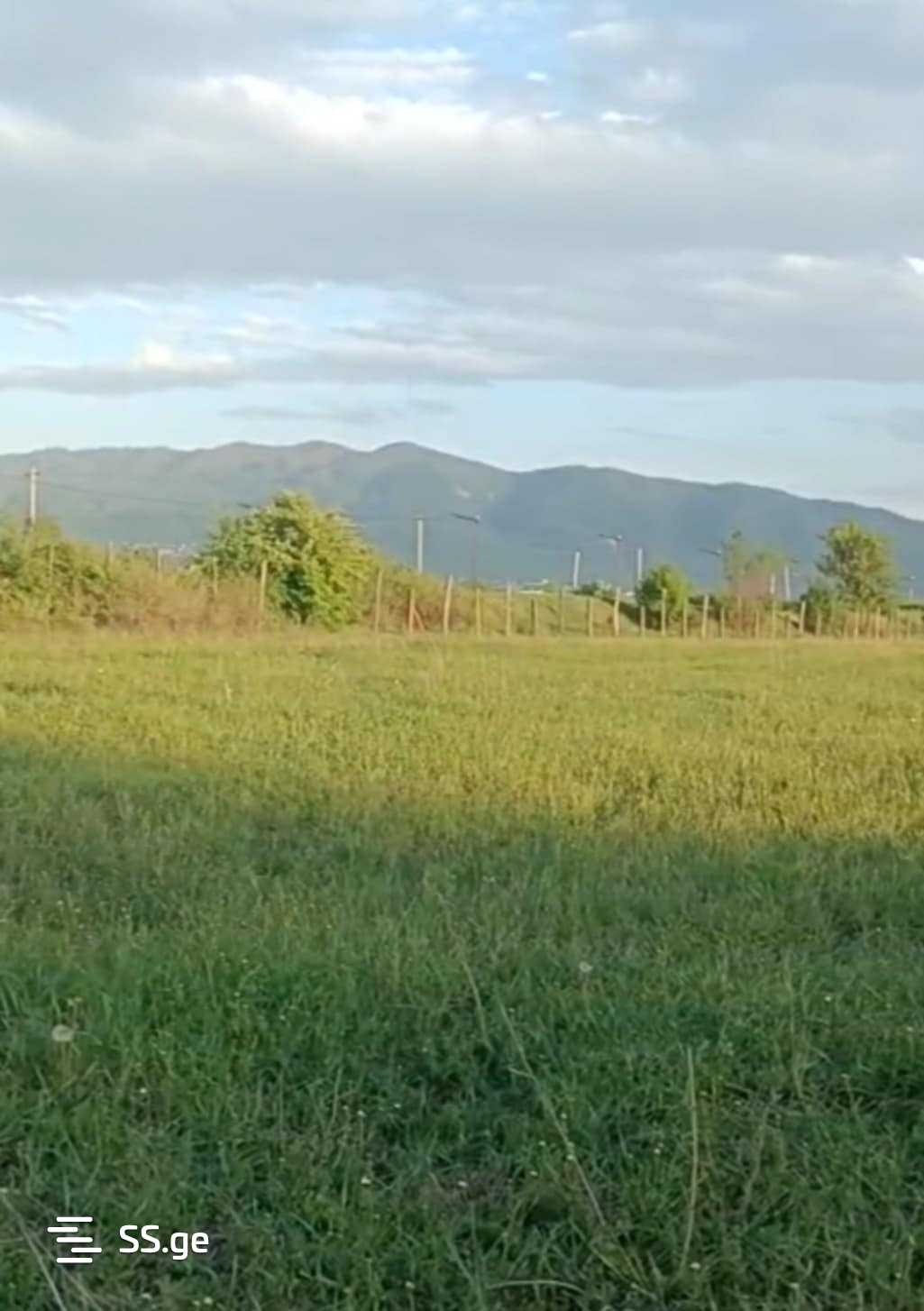 Land For Sale. Natakhtari view 2