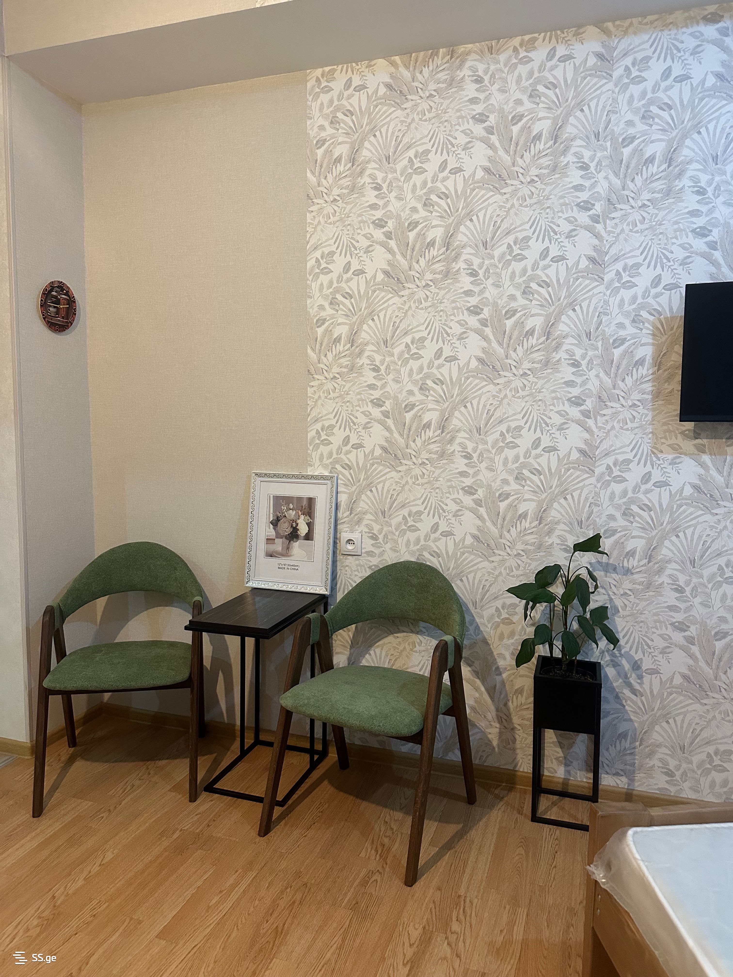 1 Room Flat Daily Rent. Nadzaladevi view 11