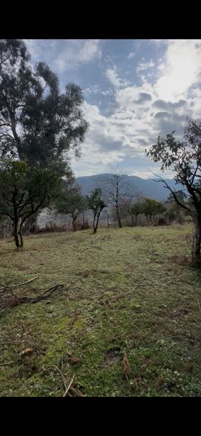 Land For Sale. Charnali