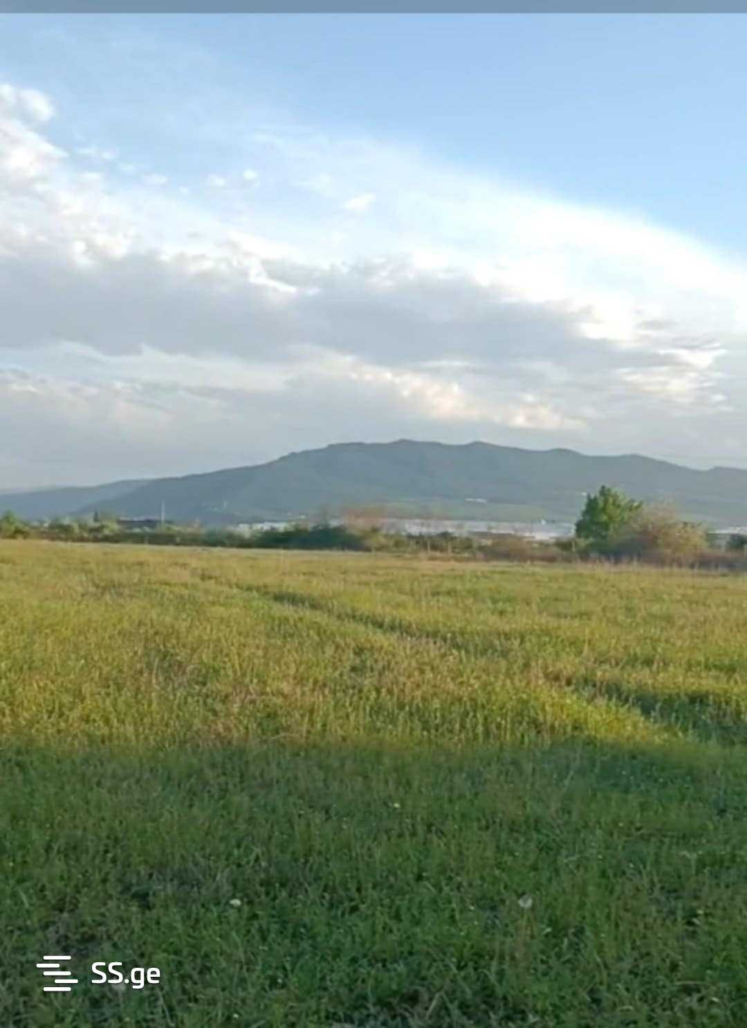 Land For Sale. Natakhtari view 1