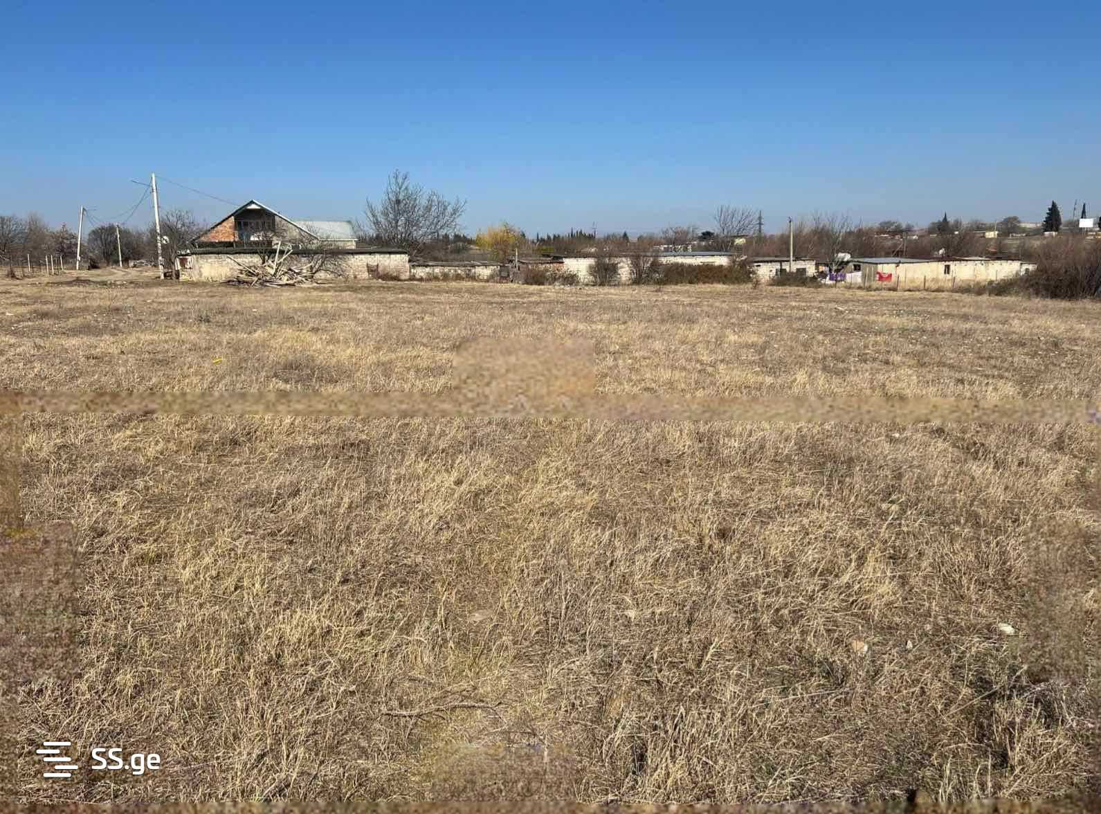 Land For Sale. Gamarjveba view 3