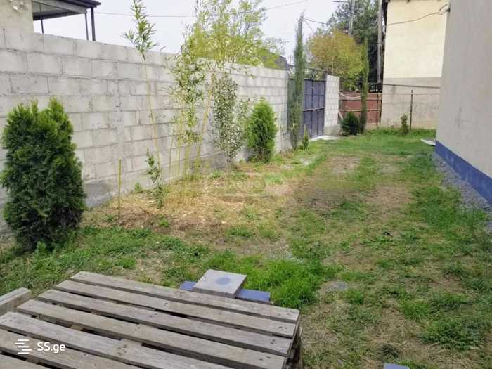 https://static.ss.ge/20251016/17_cb4c3eaa-0510-474c-bb12-ed1a581ae301_Thumb.jpg