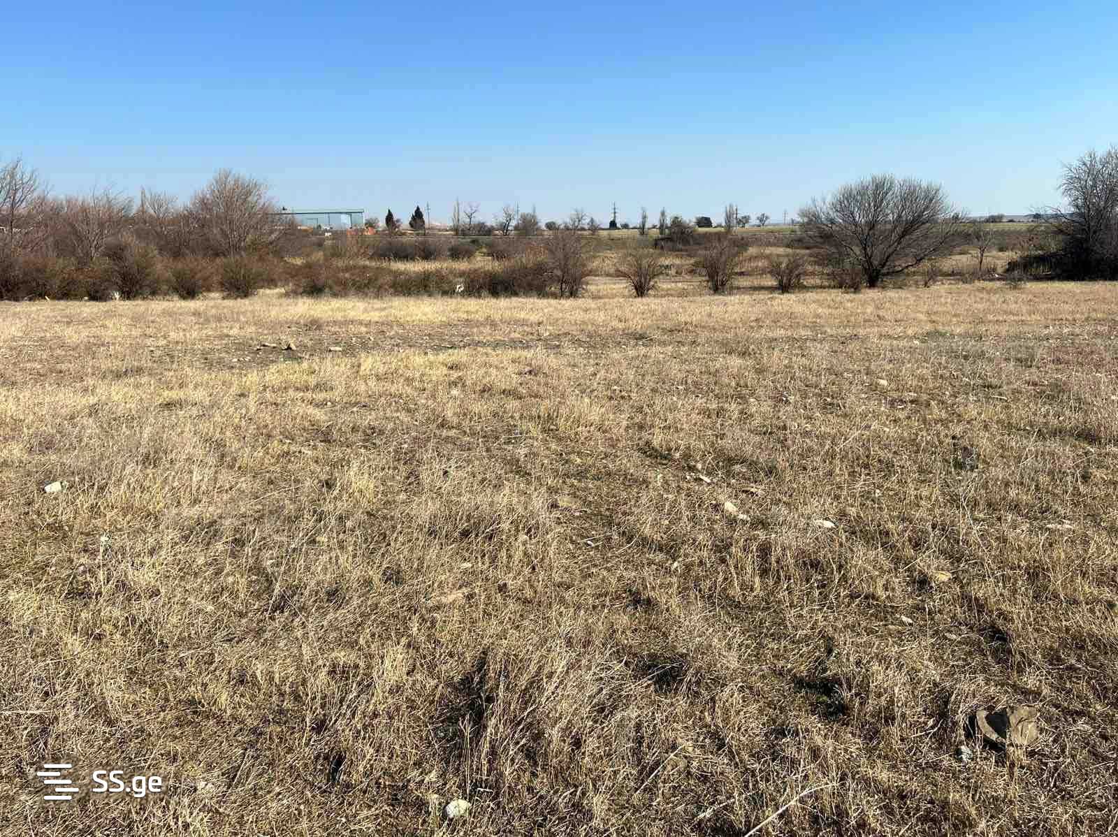 Land For Sale. Gamarjveba view 4
