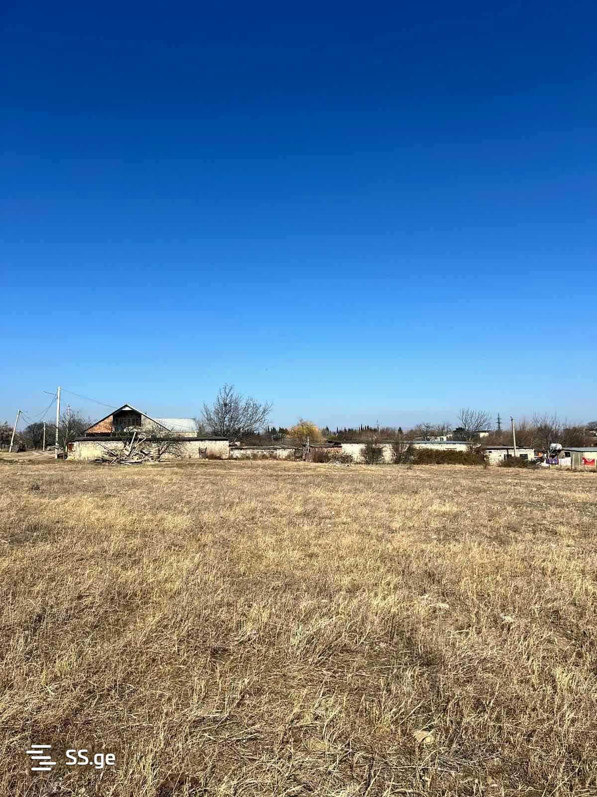 Land For Sale. Gamarjveba view 1