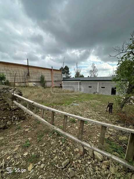 https://static.ss.ge/20251016/7_b3a599ba-381a-405e-bf72-84f250b2b8b2_Thumb.jpg