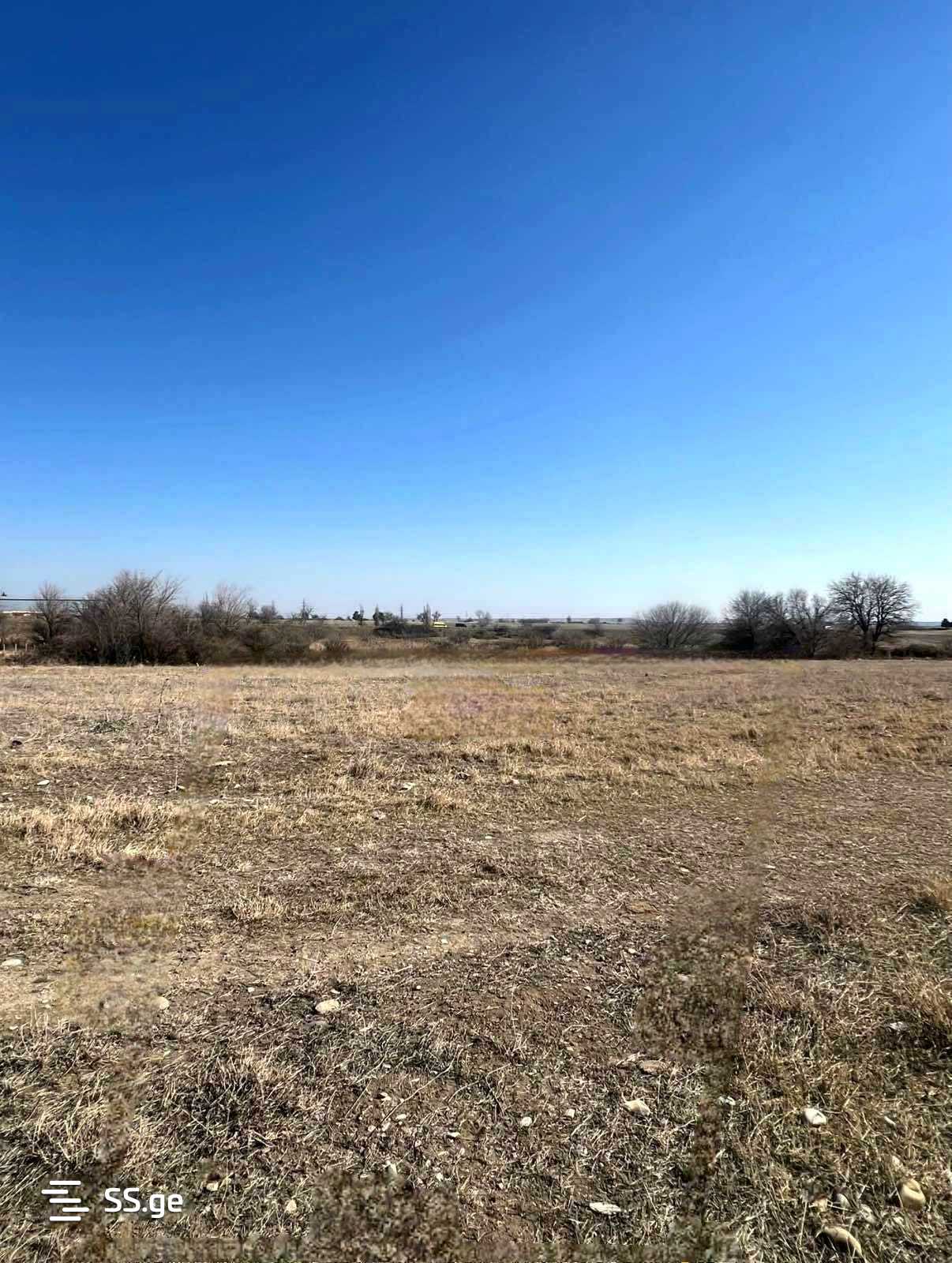Land For Sale. Gamarjveba view 2