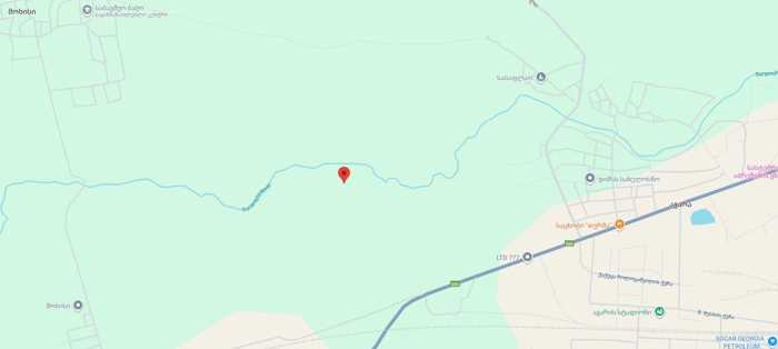 https://static.ss.ge/20251017/0_5c56ef3c-067a-4e89-8b77-982e54aa6928_Thumb.jpg