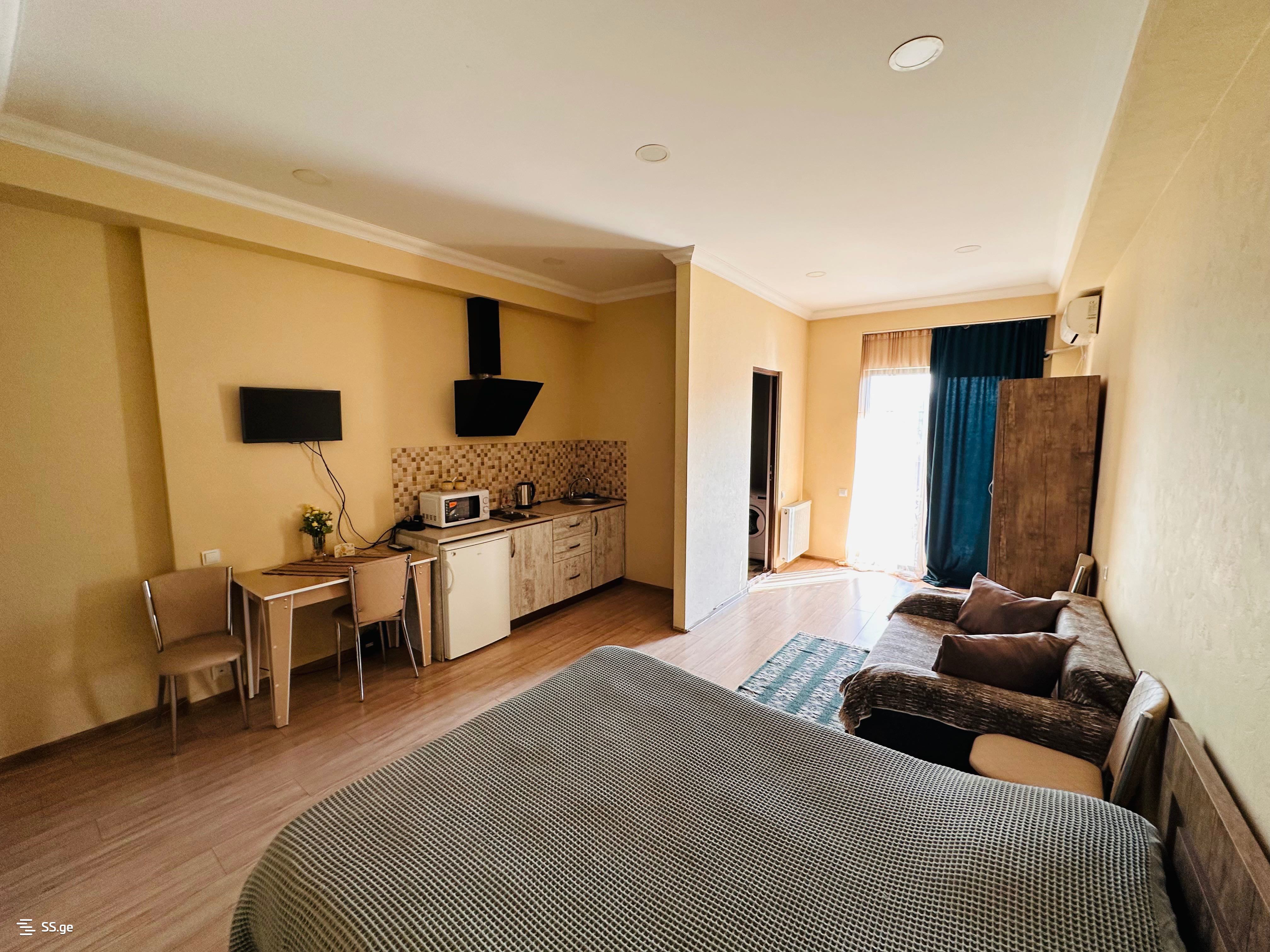 1 room Flat Daily rent. Isani - Ansicht 2