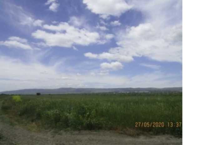 Land For Sale. Arashenda