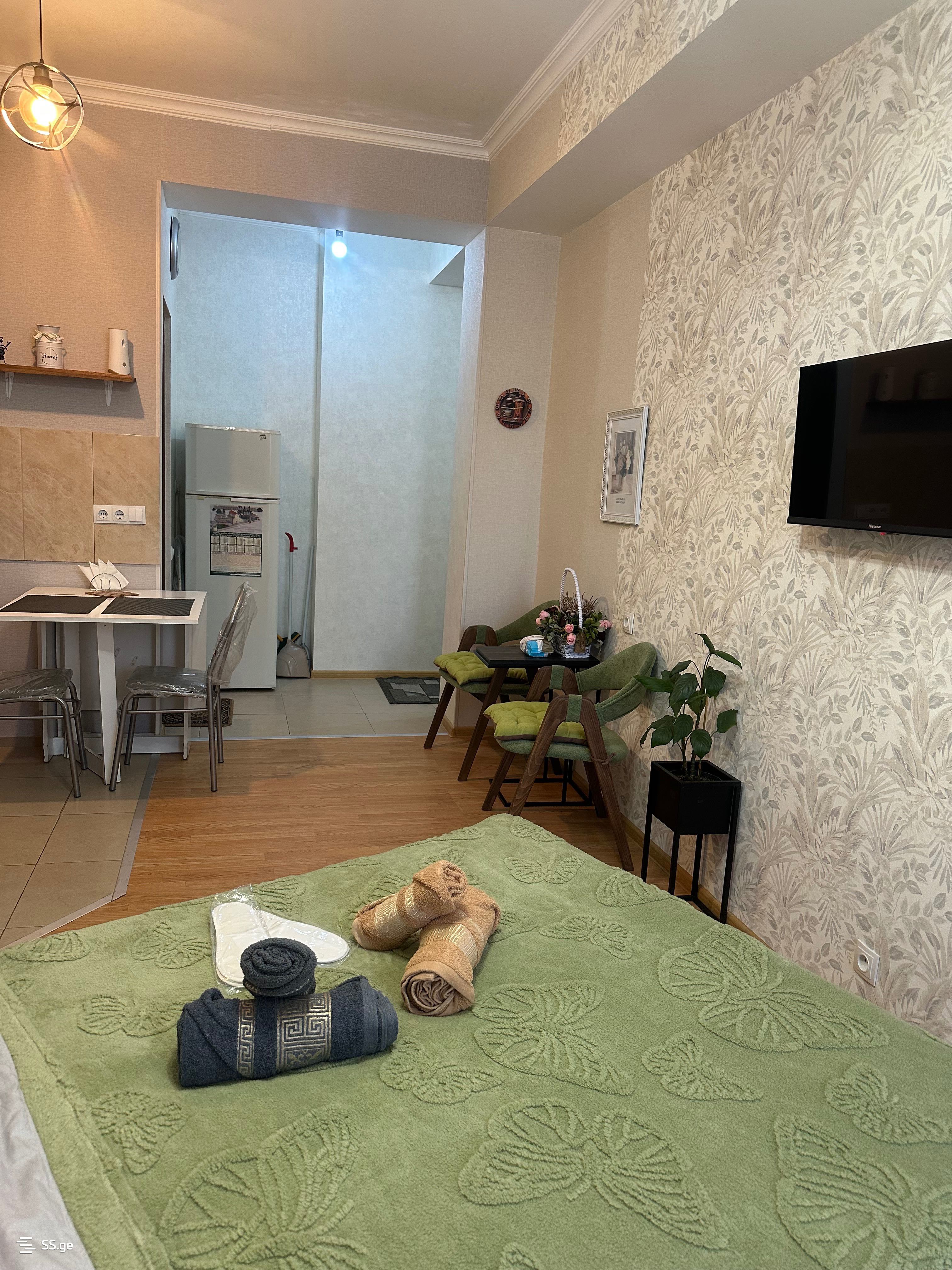 1 Room Flat Daily Rent. Nadzaladevi, 7 of 12