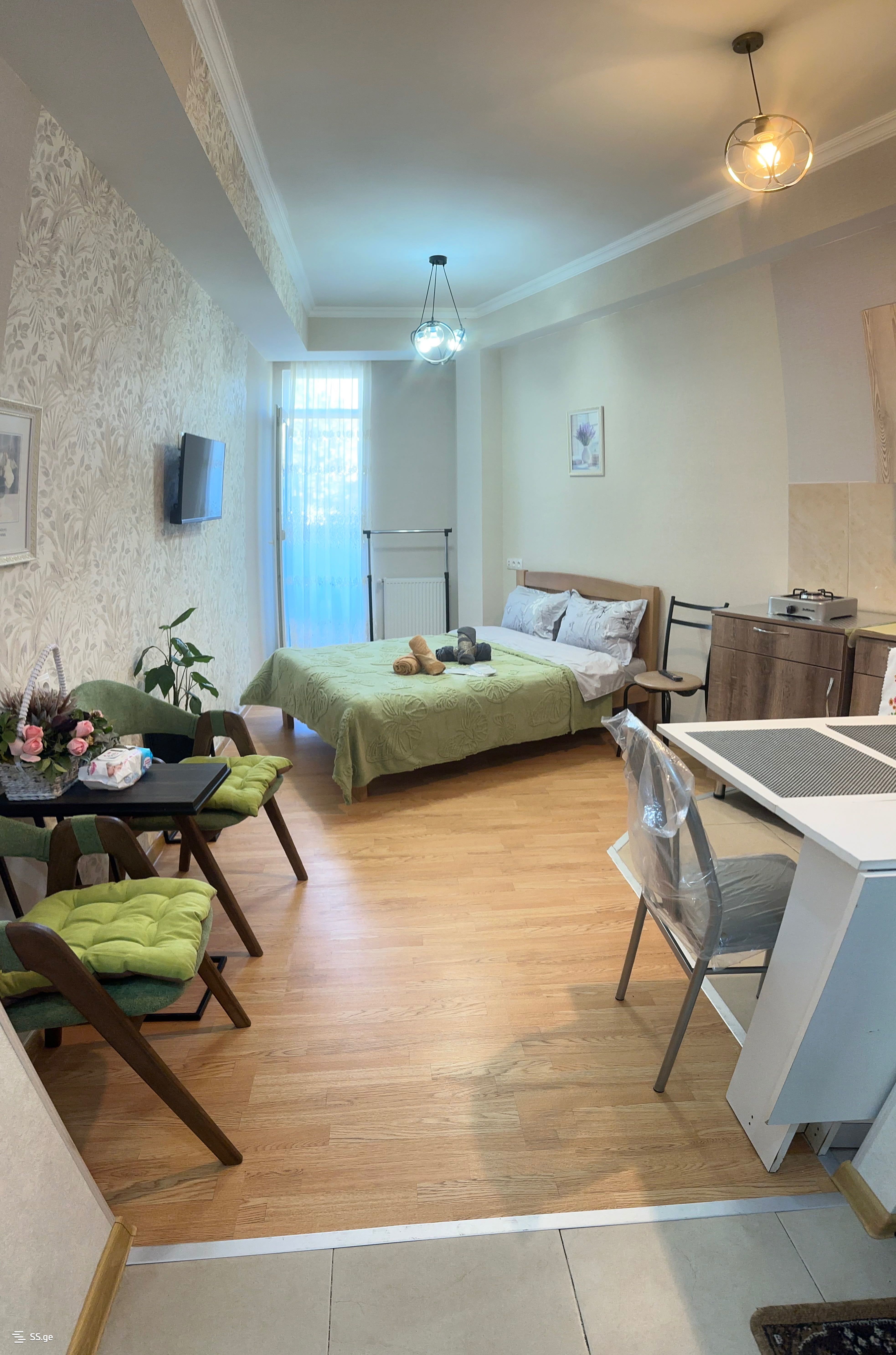 1 Room Flat Daily Rent. Nadzaladevi, 6 of 12