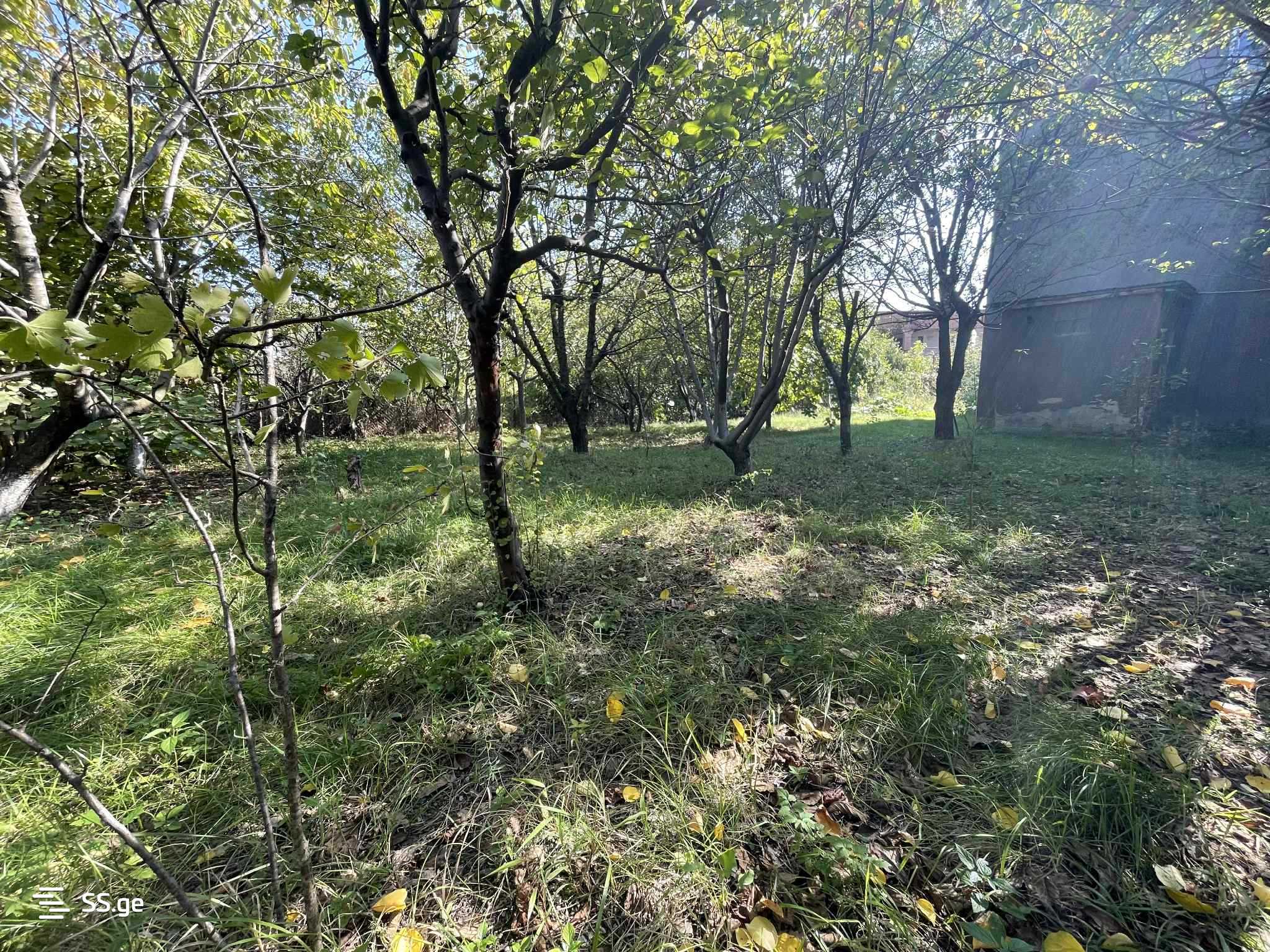 5 Room Private House For Sale view 9