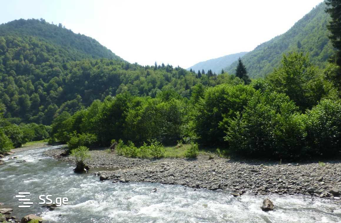იყიდება მიწა ტიანეტიში view 4
