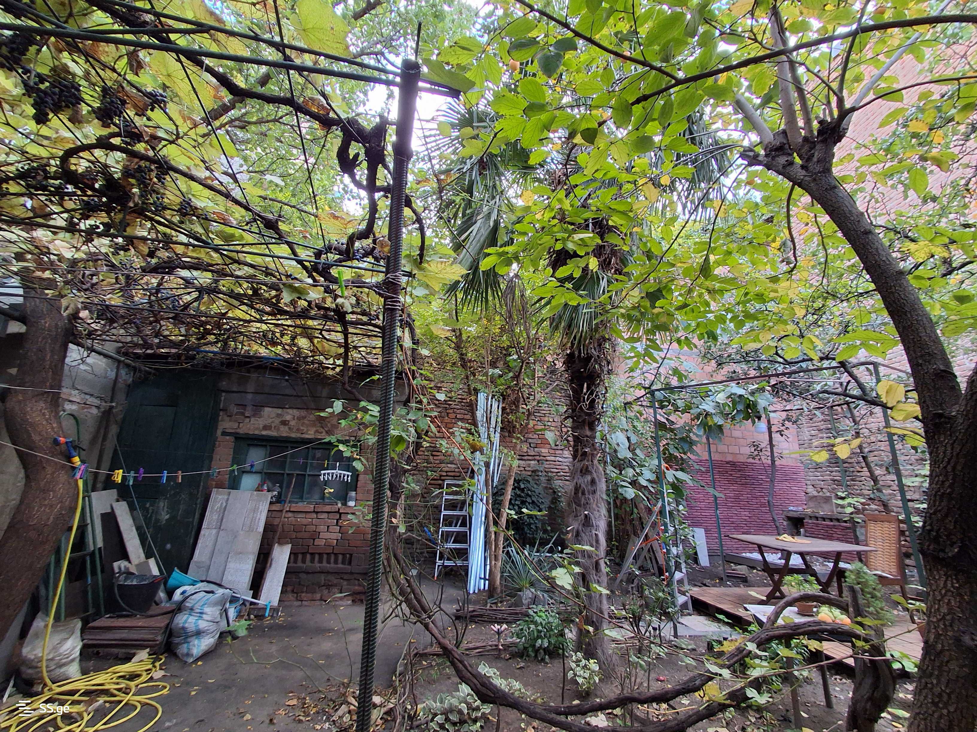 Land For Sale. Vera view 8