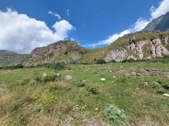 Land For Sale. Kazbegi