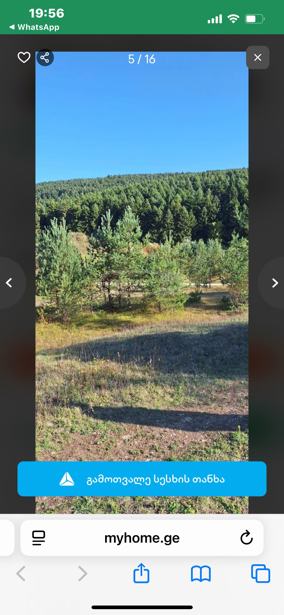 https://static.ss.ge/20251021/16_99c02a28-0a67-40a2-8627-ffbf71f6e829_Thumb.jpg