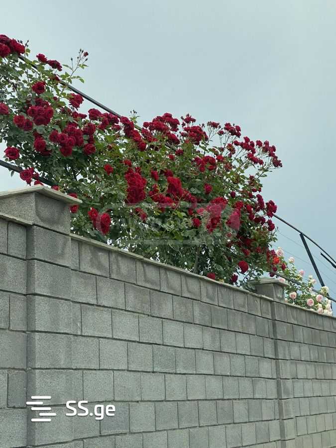 3 Room Private House For Sale view 9