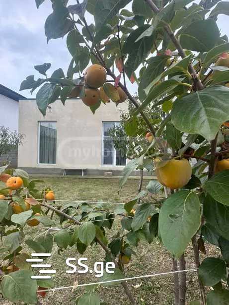5 Room Private House For Rent. Didi Digomi view 18