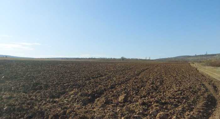 Land For Sale. Dusheti