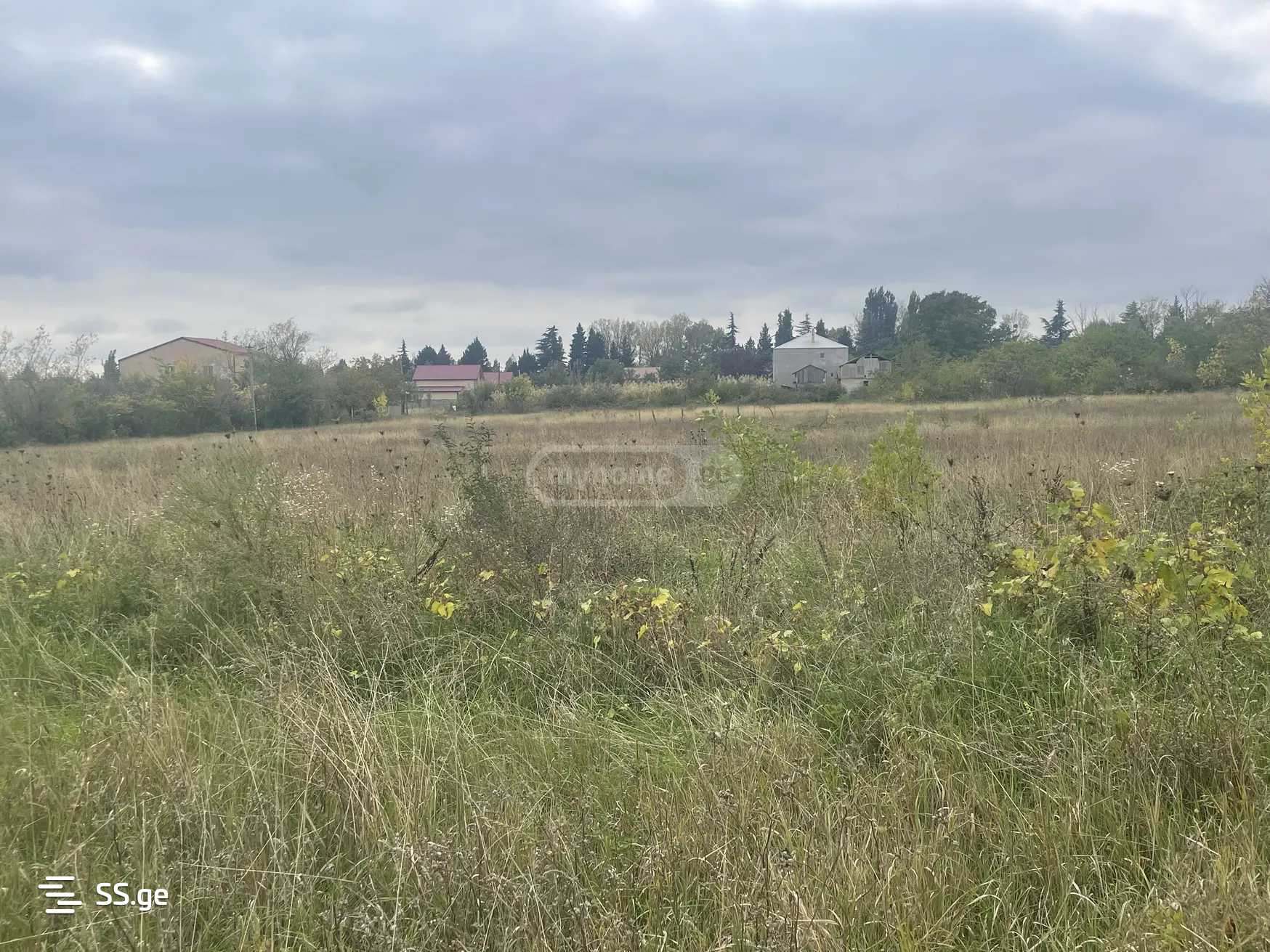 Продажа Земля в гардабани, 5 of 9