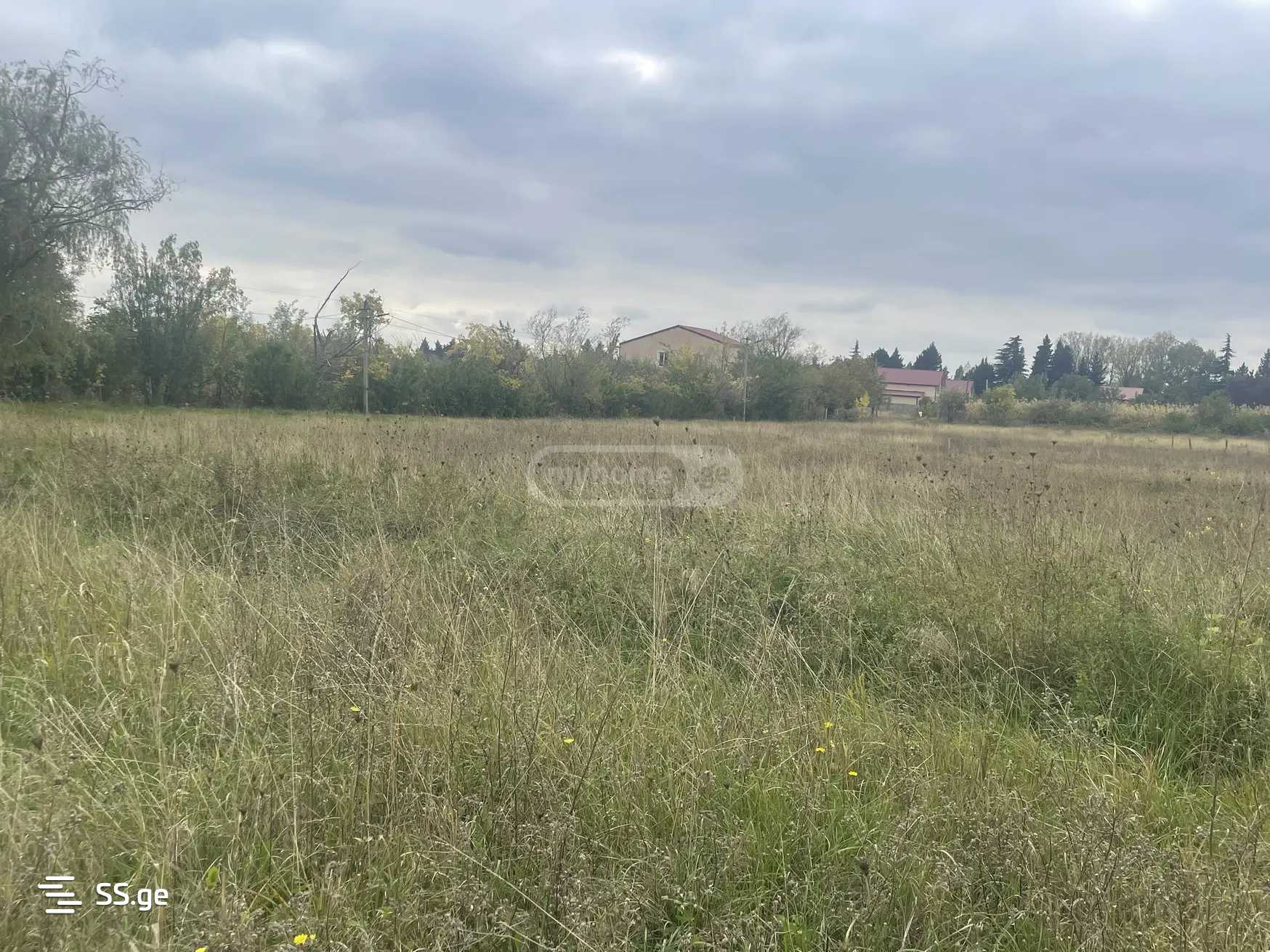 Продажа Земля в гардабани, 4 of 9