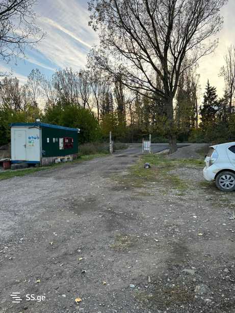 https://static.ss.ge/20251023/16_d1b878cb-7318-4cb7-8524-6a0781f230c6_Thumb.jpg