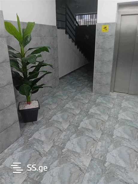 https://static.ss.ge/20251023/3_cb8b3e83-0814-4ada-ae8b-967ffc8dc298_Thumb.jpg