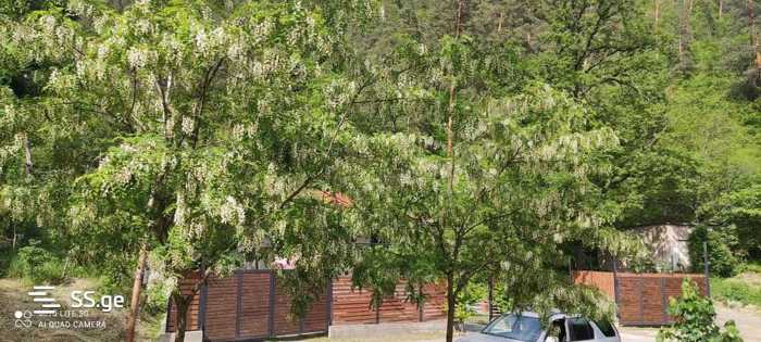 https://static.ss.ge/20251024/8_ee730c4d-7898-41bd-8081-6e2493a53954_Thumb.jpg