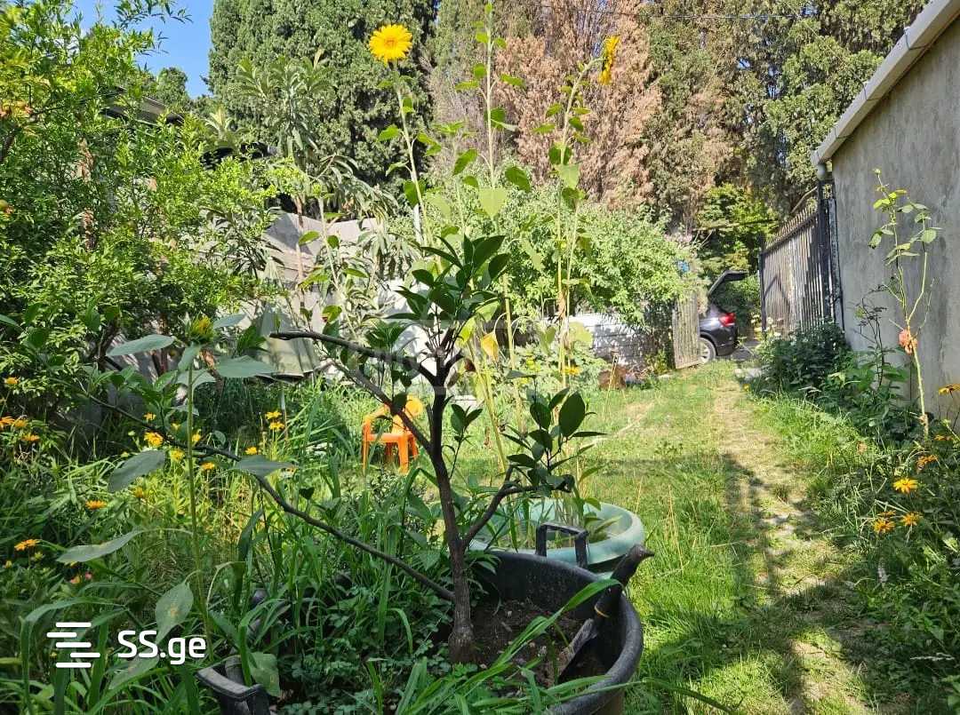 4 Room Private House For Rent. Gldani, 12 of 12
