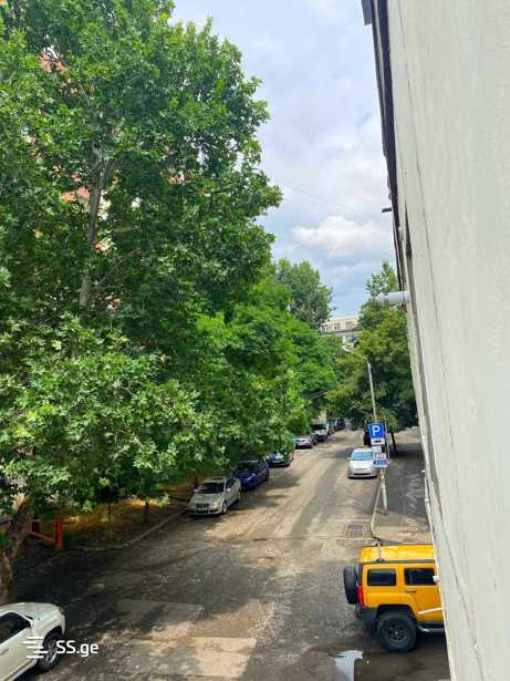 https://static.ss.ge/20251027/14_3ee9d902-61ec-4a8c-b66d-71348b593671_Thumb.jpg