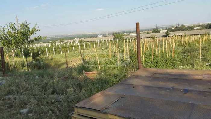 Land For Sale. Krtsanisi