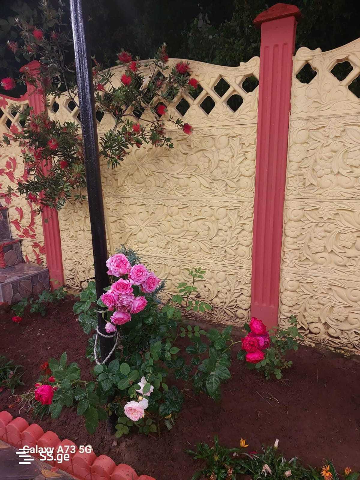 3 Room Private House Daily Rent. Kutaisi view 10