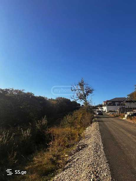 https://static.ss.ge/20251029/3_cfe15319-4101-494d-9e6c-3728260c3ec0_Thumb.jpg