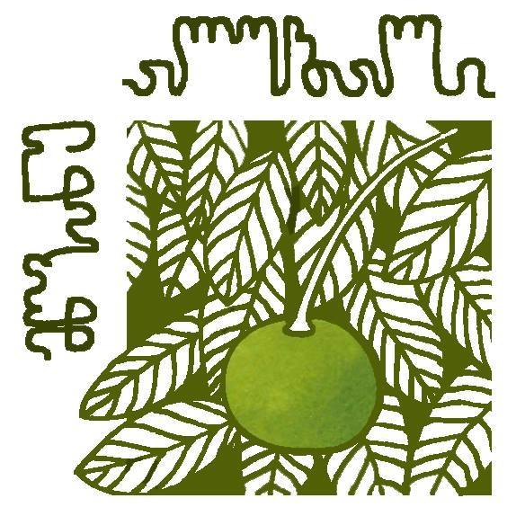 საბავშვო ბაღი მწვანე ალუბალი